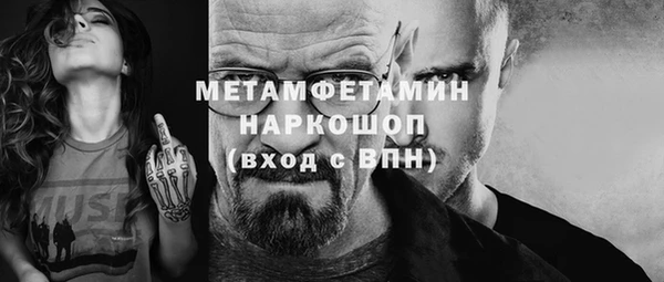 прущие грибы Белокуриха