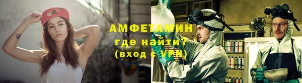 прущие грибы Белокуриха
