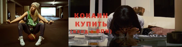 прущие грибы Белокуриха