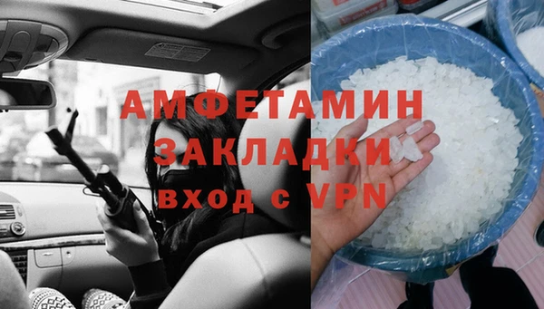 прущие грибы Белокуриха