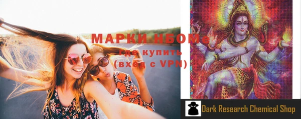 прущие грибы Белокуриха