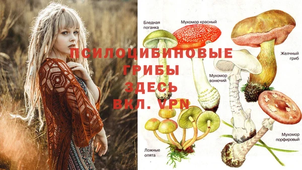 дживик Беломорск